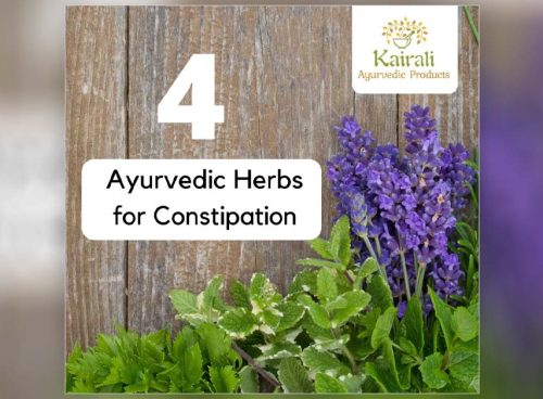 Ayurvedic Herbs for Constipation