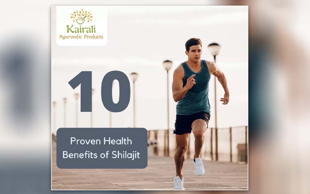 health benefits of shilajit