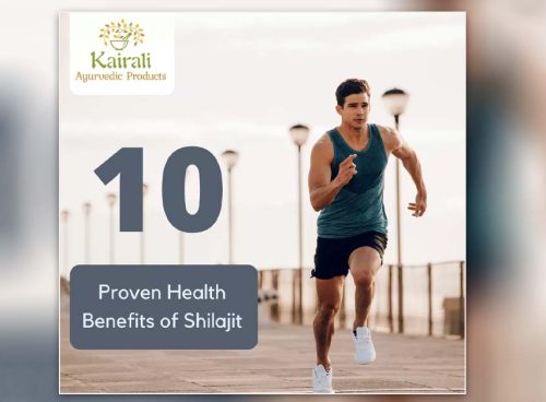 health benefits of shilajit