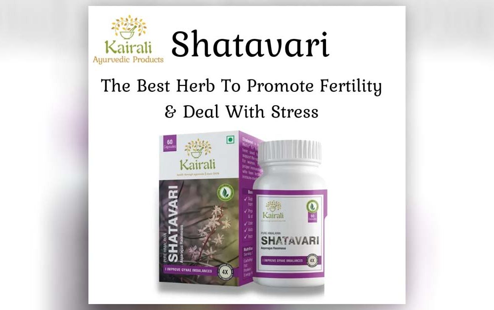 Shatavari