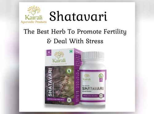Shatavari