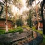 kairali- the best wellness resort