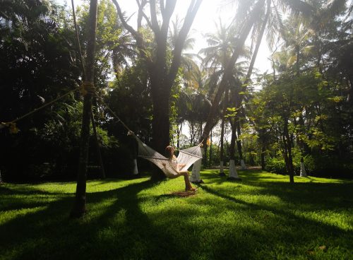 holistic rejuvenation with kairali