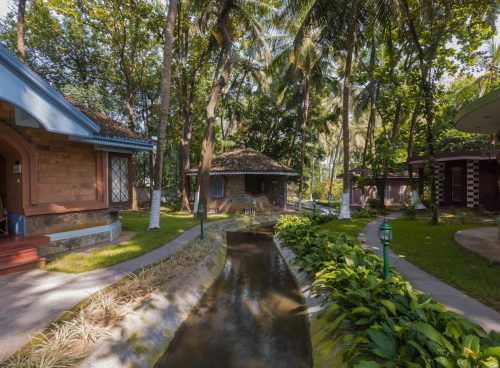 gift ayurveda session this fathers day