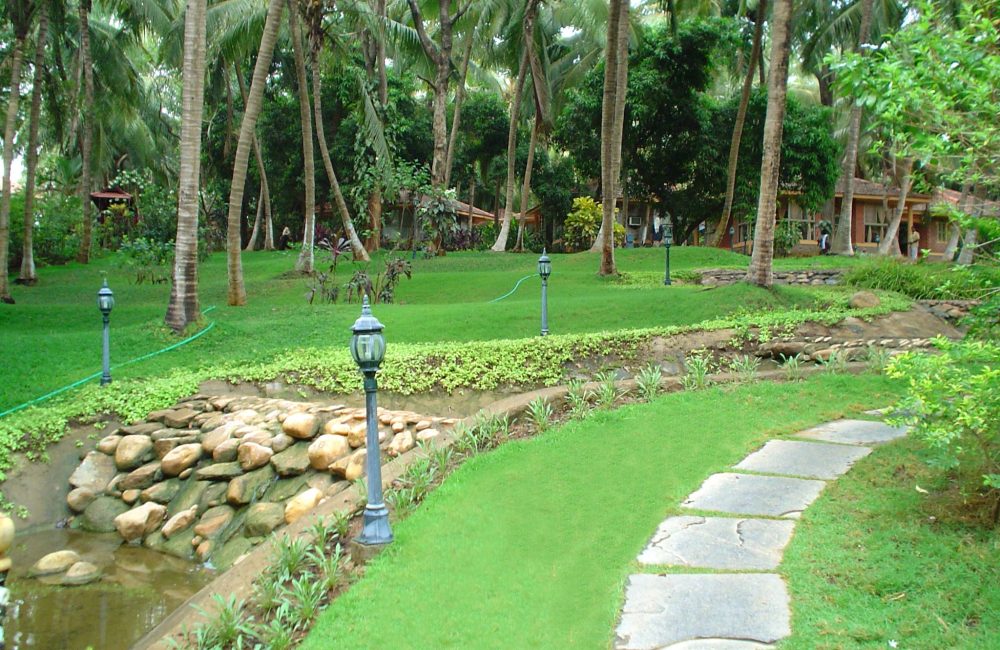 yoga and ayurveda