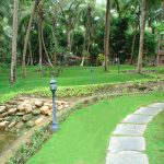 yoga and ayurveda