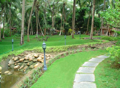 yoga and ayurveda