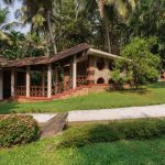 yoga for monsoon illness