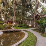 embrace ayurevda this monsoon season