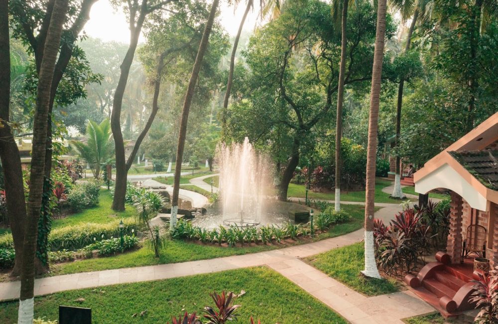 ayurveda regime for monsoon