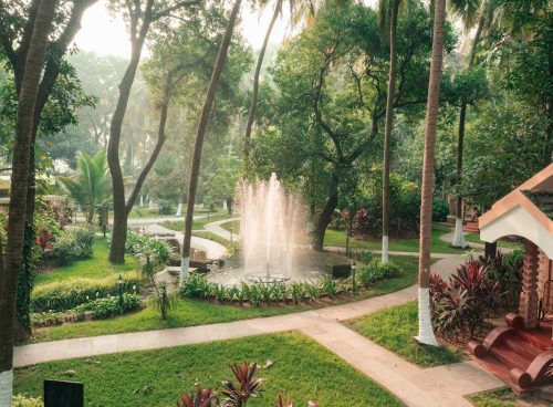 ayurveda regime for monsoon
