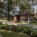 yoga for monsoon retreat