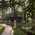 yoga in monsoon