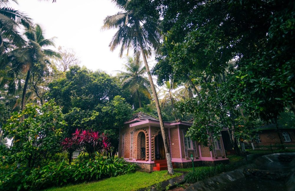 Yoga and meditation in monsoon