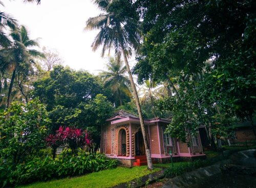 Yoga and meditation in monsoon