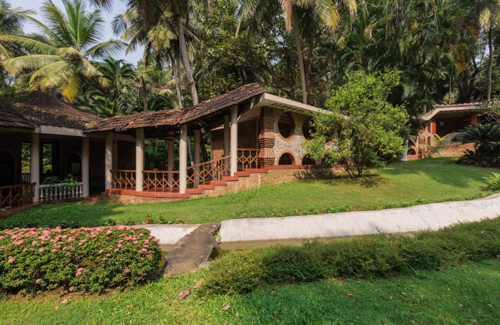 ayurveda practices to incorporate daily