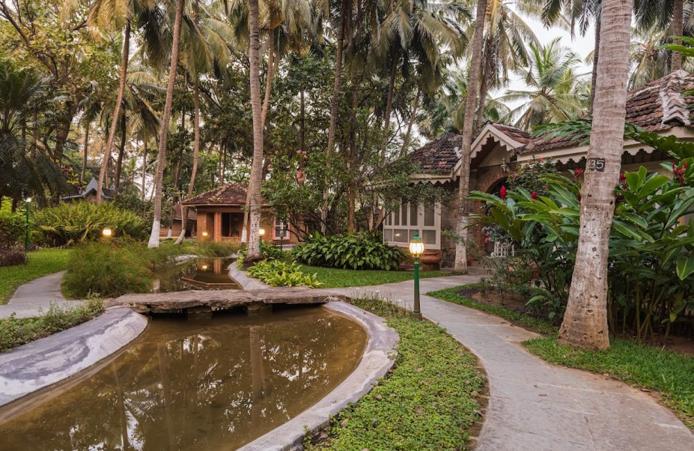 ayurveda excellence meets modern wellness