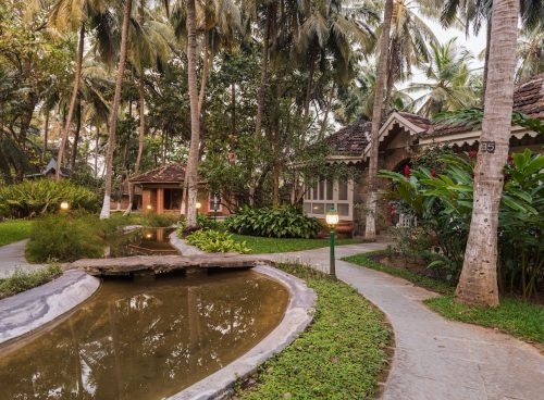 ayurveda excellence meets modern wellness