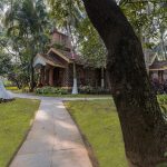 ayurveda for daily routine