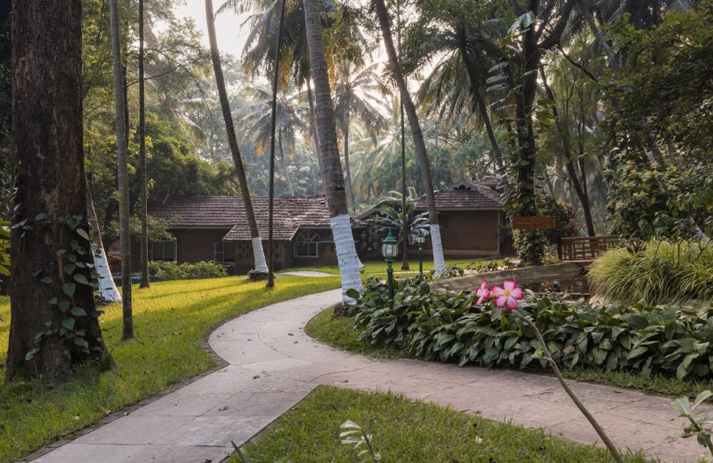ayurvedic retreat in kerala
