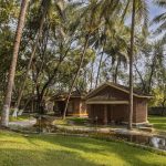dincharya- an ayurvedic daily rituals