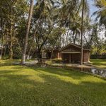 Role of Yoga in Enhancing Ayurvedic Therapies
