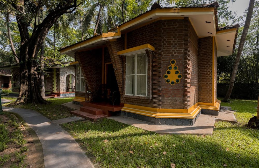 ayurvedic approach to holistic wellness