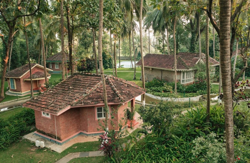 ayurvedic cooking classes