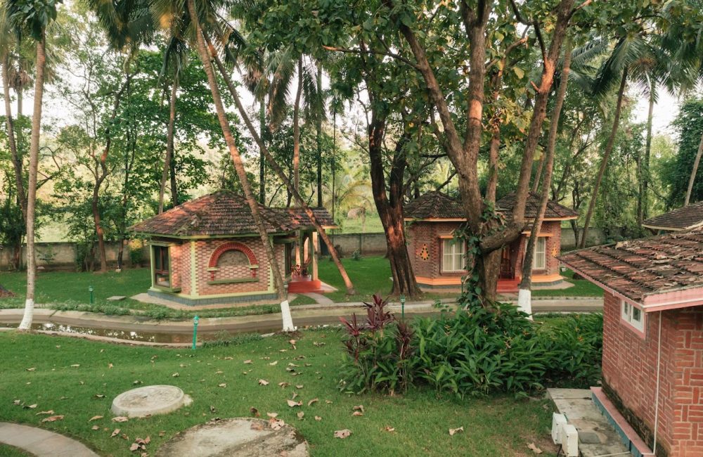 mindful meditation through ayurveda