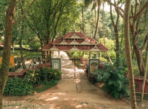 holistic wellness through ayurveda