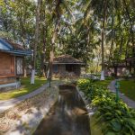 yoga and meditation through ayurveda