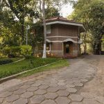 yoga and ayurveda for diabetes