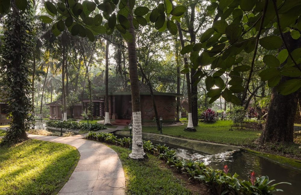 ayurveda for rejuvenation & detoxification