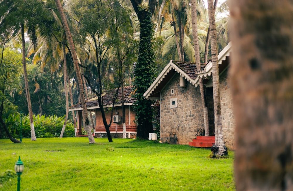 ayurveda treatment for de-addiction