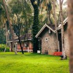 ayurveda treatment for de-addiction