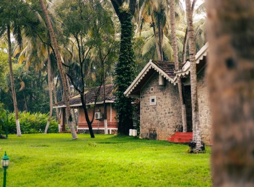 ayurveda treatment for de-addiction