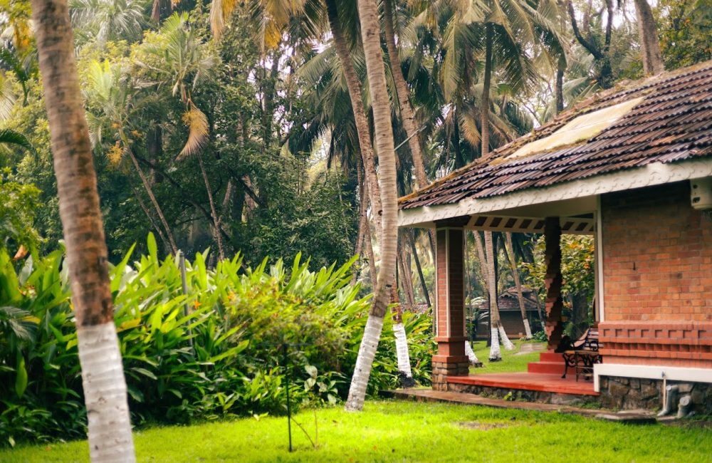 yoga and ayurveda for respiratory health