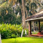 yoga and ayurveda for respiratory health
