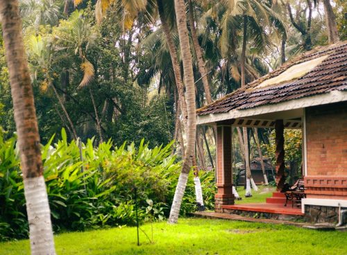 yoga and ayurveda for respiratory health