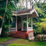 yoga and panchakarma treatment