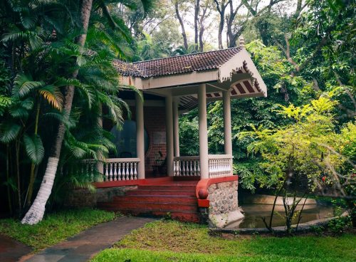 yoga and panchakarma treatment