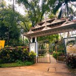 yoga and ayurveda for life transition