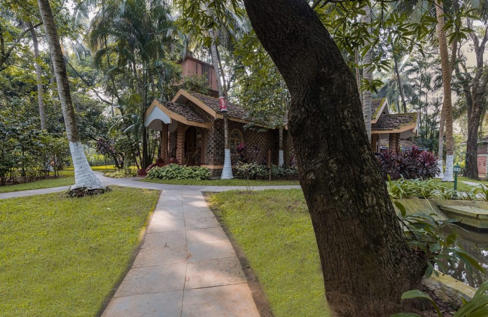 holistic wellness at kairali