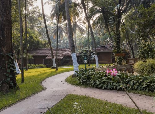 ayurvedic rejuvenation therapy