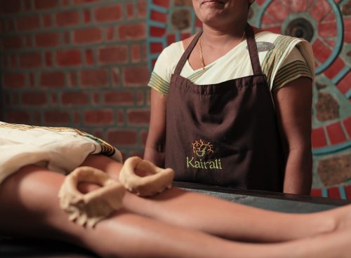 ayurveda training program