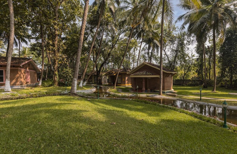 holistic experience through ayurveda