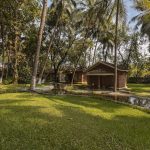 holistic experience through ayurveda