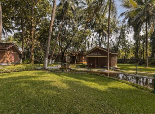 holistic experience through ayurveda