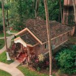 ayurveda wellness getaway
