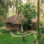ayurveda during monsoon